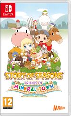 Story of Seasons: Friend of Mineral Town (NSW) -peli