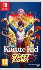 Karate Kid: Street Rumble (NSW) -peli