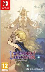 Record of Lodoss War: Deedlit in Wonder Labyrinth (NSW) -peli