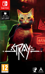 Stray (NSW) -peli