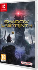 Shadow Labyrinth (NSW) -peli