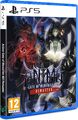 Anima Gate of Memories I & II Remaster - Special Edition (PS5) -peli