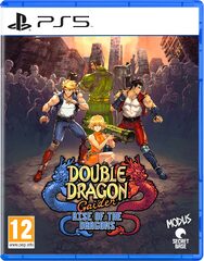 Double Dragon Gaiden: Rise of the Dragons (PS5) -peli