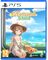 Starsand Island (PS5) -peli