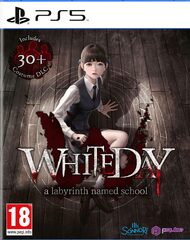 White Day: A Labyrinth Named School (PS5) -peli